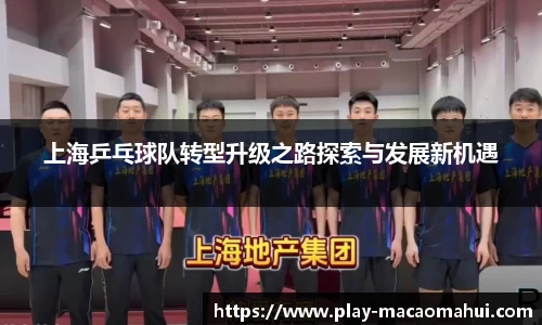 关键词4