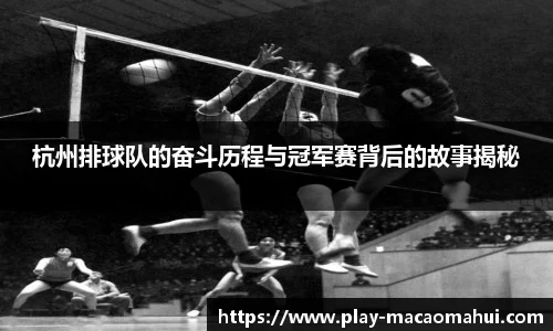 杭州排球队的奋斗历程与冠军赛背后的故事揭秘